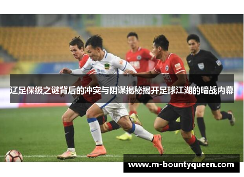 辽足保级之谜背后的冲突与阴谋揭秘揭开足球江湖的暗战内幕