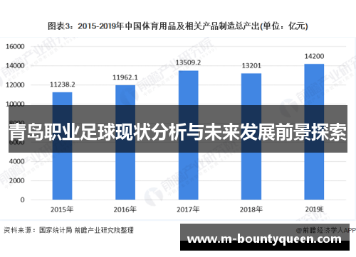 青岛职业足球现状分析与未来发展前景探索